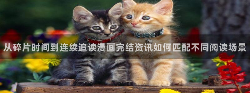 漫画岛人气漫画大全