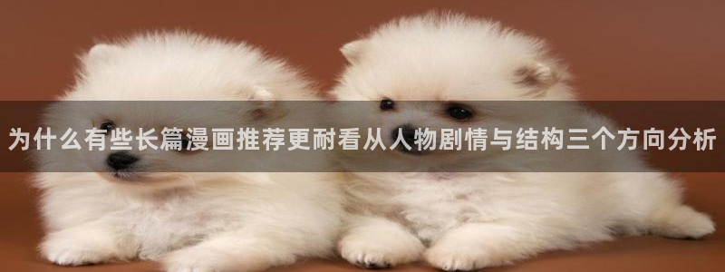 漫画岛网页入口导航