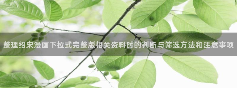 漫画岛漫画更新资讯:整理绍宋漫画下拉式完整版相关资料时的判断与筛选方法和注意事项