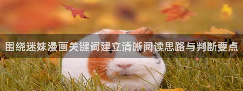漫画岛热门漫画排行：围绕迷妹漫画关键词建立清晰阅读思路与判断要点